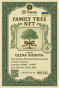 Treva Family Tree NFT