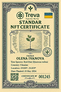 Treva Standard NFT